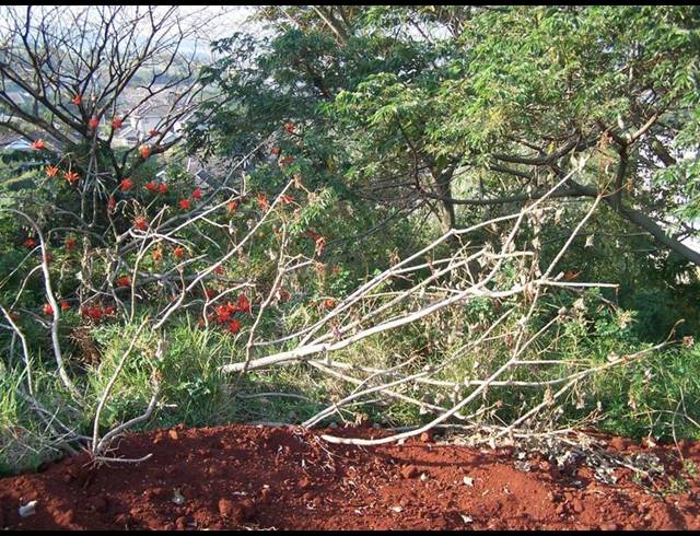 LAND FOR SALE IN ZINI RIVER ESTATE